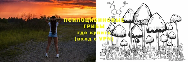 мяу мяу кристалл Переславль-Залесский