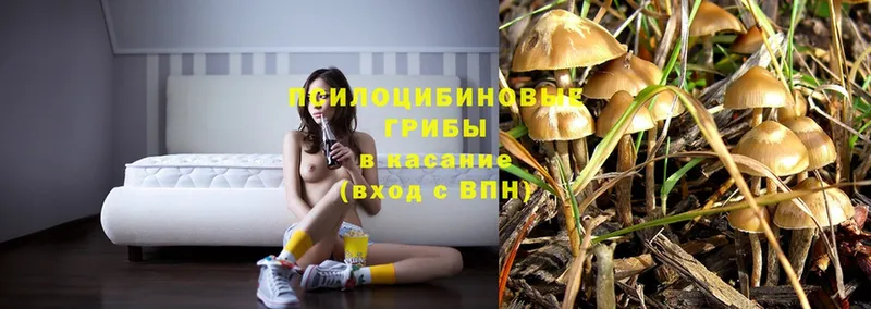 Псилоцибиновые грибы MAGIC MUSHROOMS  купить наркоту  ОМГ ОМГ онион  Саров 