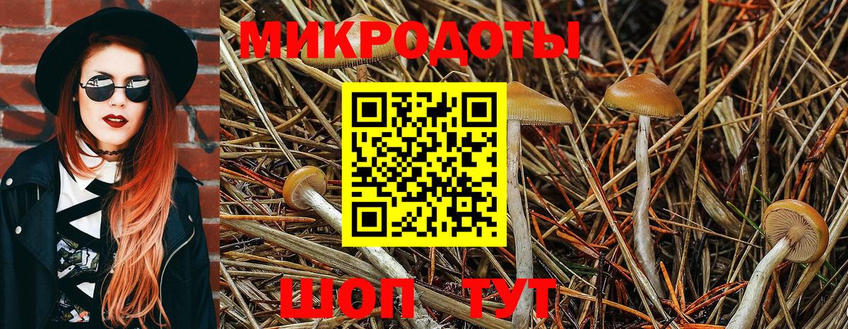 Псилоцибиновые грибы Psilocybe  Вход с VPN  где купить наркоту  Саров 